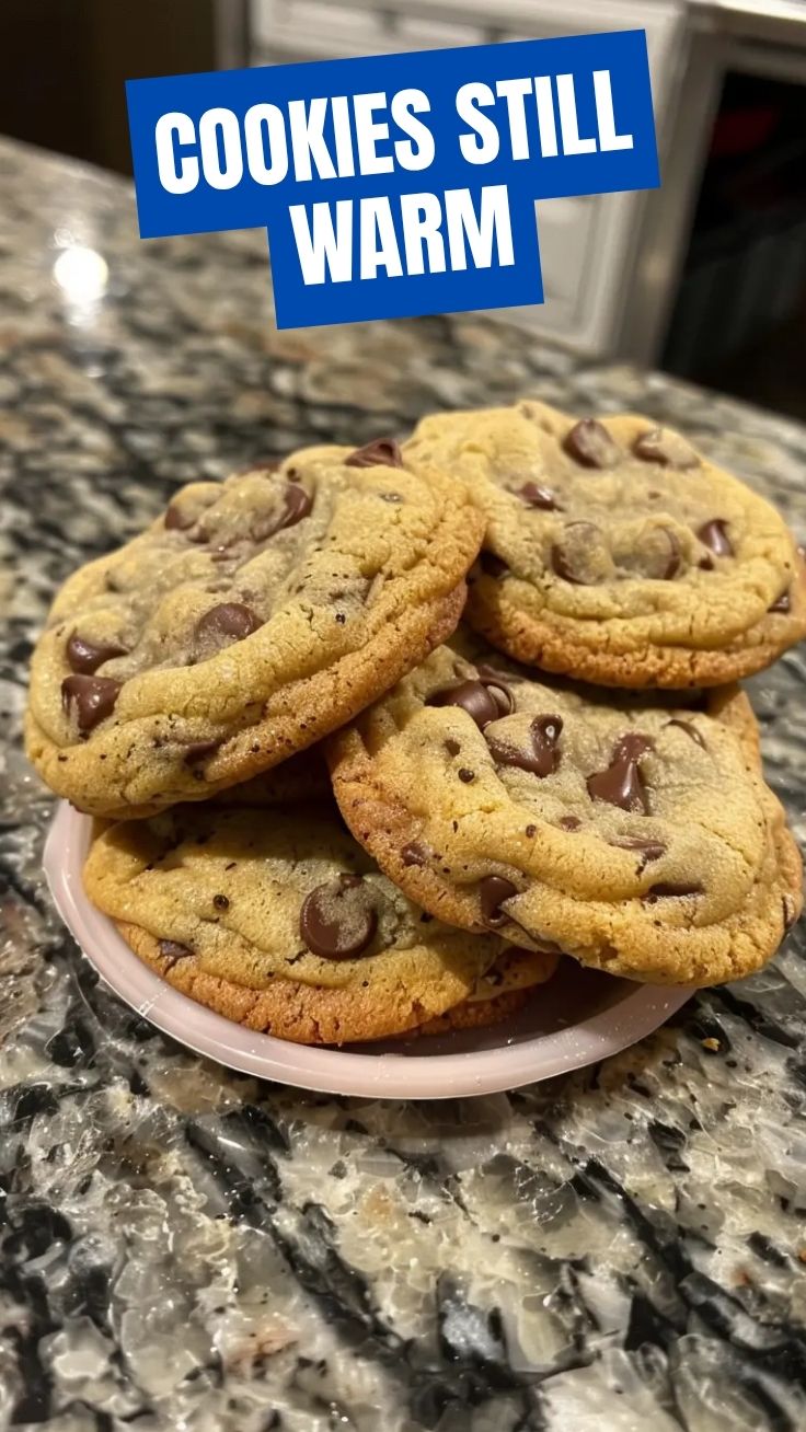 Freshly baked chocolate chip cookies arranged on a cooling rack.